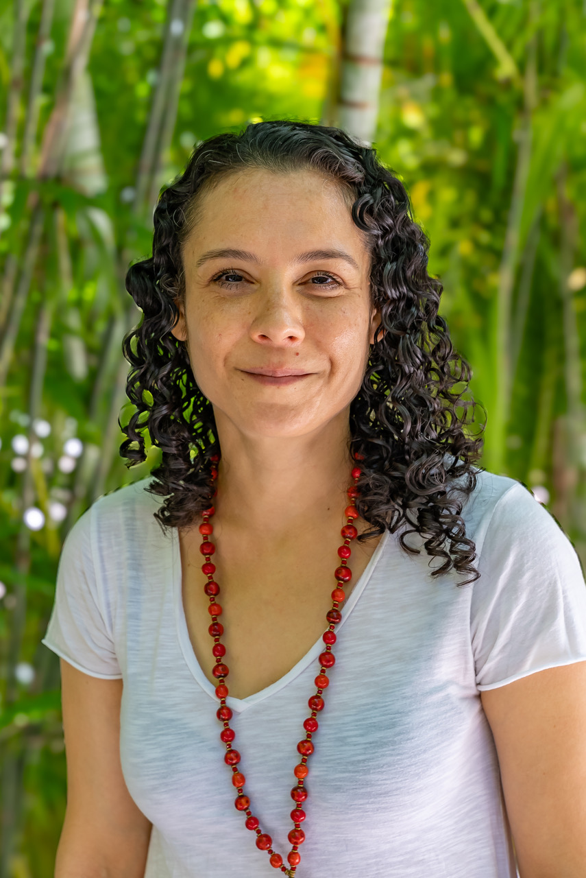 Laura A Shapiro - Basse Clinic