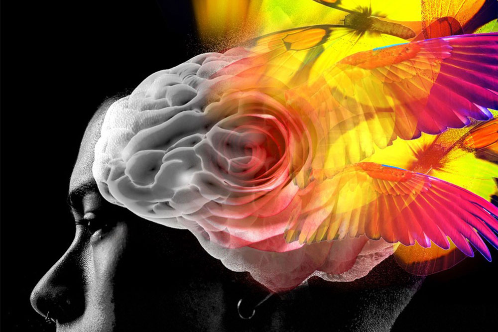 Understanding Ibogaine Therapy for PTSD Recovery