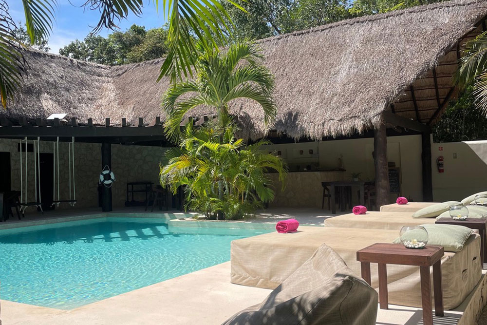 Questions to Ask Before Entering an Ibogaine Treatment Program