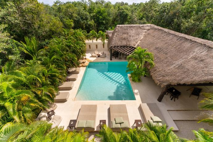 Ibogaine Treatment for PTSD