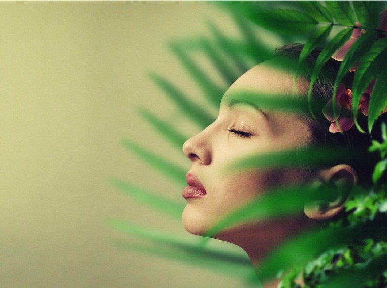 Healing Deep Wounds Plant Medicine Trauma Retreats