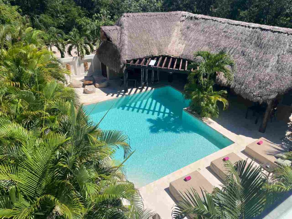 Why Basse Feels Like a Sanctuary Not a Clinic v2