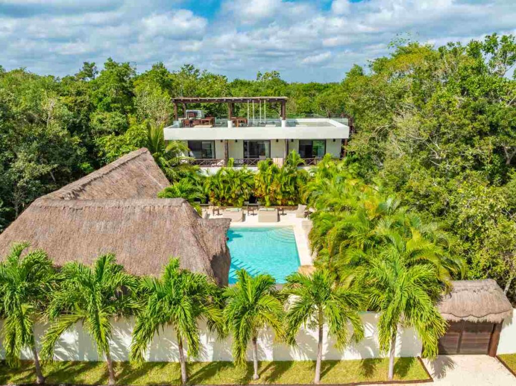 medical ibogaine vs underground