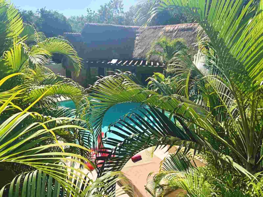 Preparing for Ibogaine The 30 Days Before Treatment