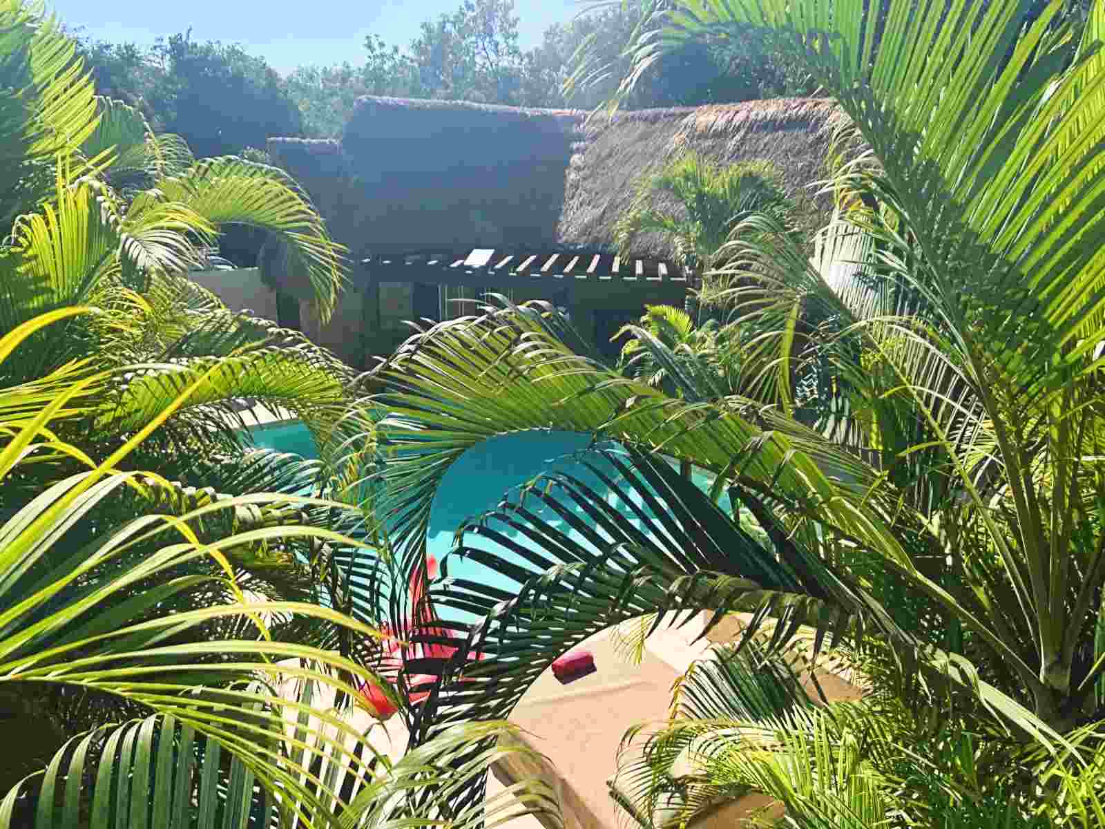 Preparing for Ibogaine The 30 Days Before Treatment