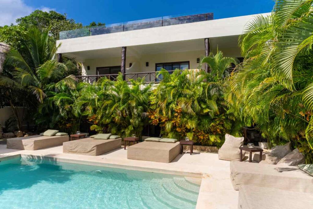 Cost of Ibogaine Treatment Investment