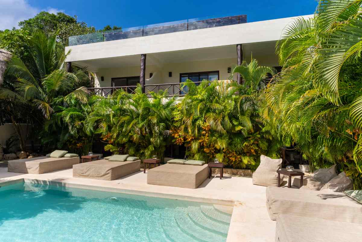 Cost of Ibogaine Treatment Investment